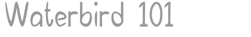 Waterbird 101